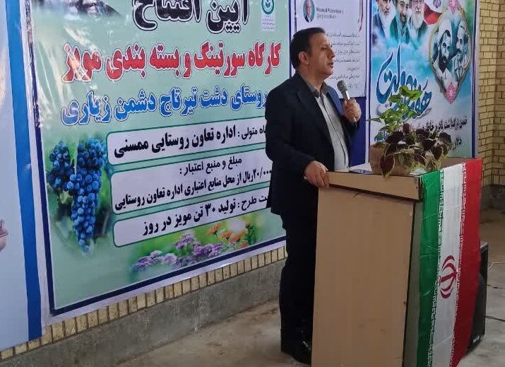 معاون استاندار: صنایع تبدیلی به رونق اقتصادی مناطق کشاورزی کمک می‌کند