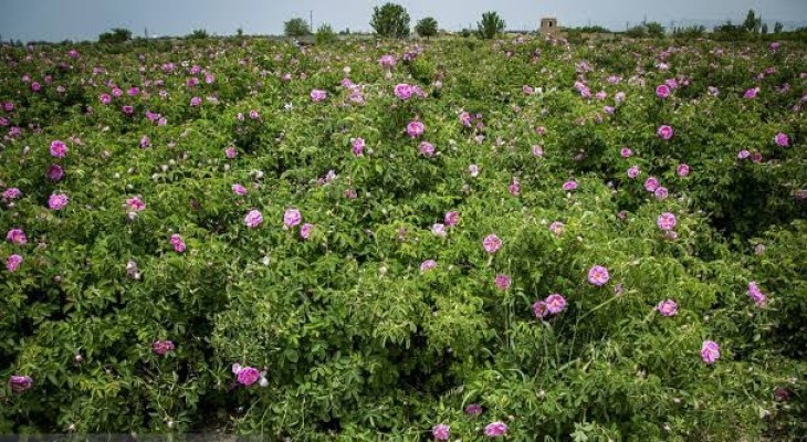عطر گیاهان کوهستان با رونق خانه‌های روستا