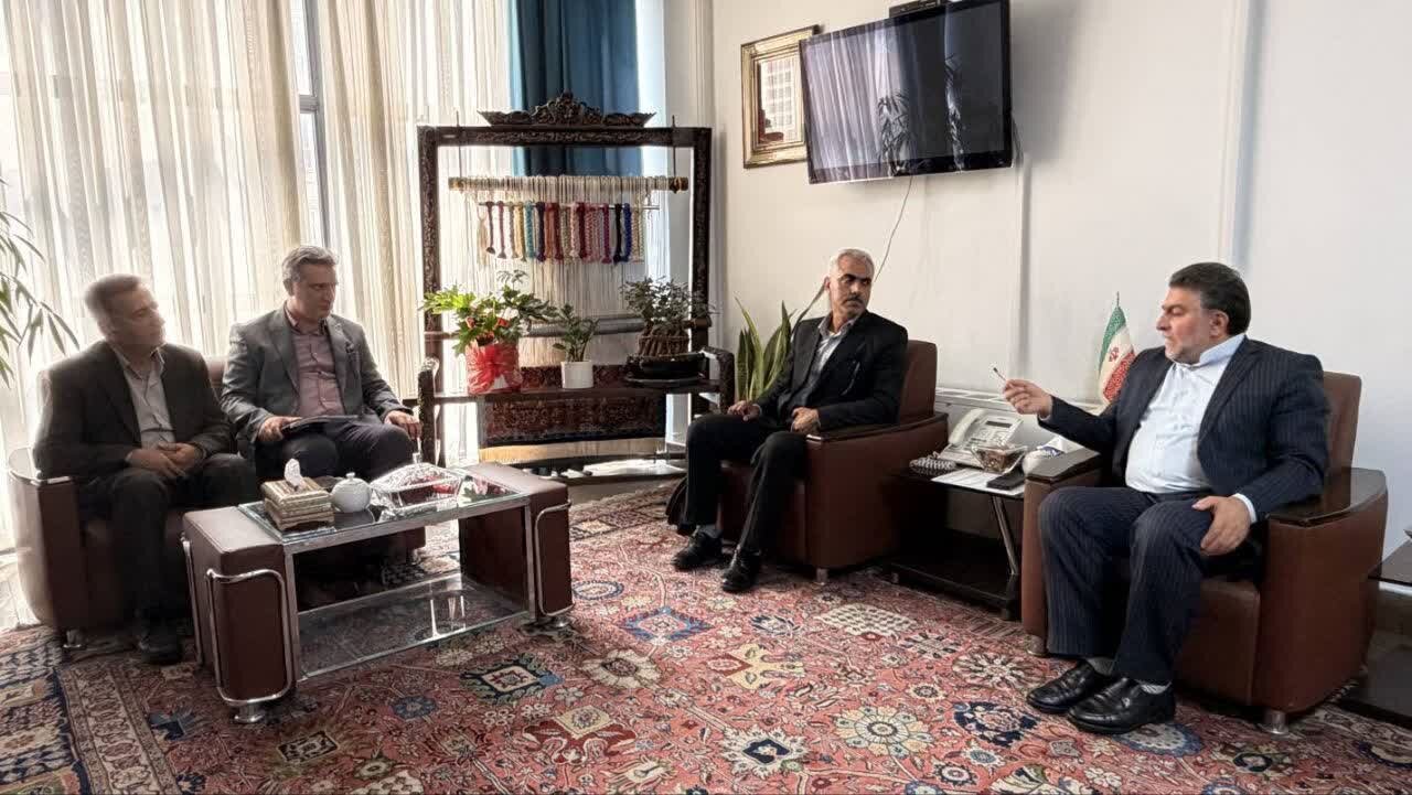 فرشچی: «خوشه صنعتی فرش دستباف» در کردستان اجرا می‌شود