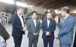 طلای کثیف به درآمد پایدار شهرداری تبدیل شود