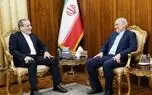 دیدار سفیر جمهوری اسلامی ایران در پاکستان با وزیر امور خارجه