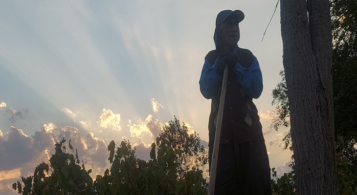 ۶ سال پژوهش تا گلخانه ۱۰ روزه بیجار