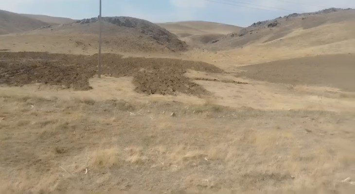گیزمل قربانی دست‌اندازی به طبیعت