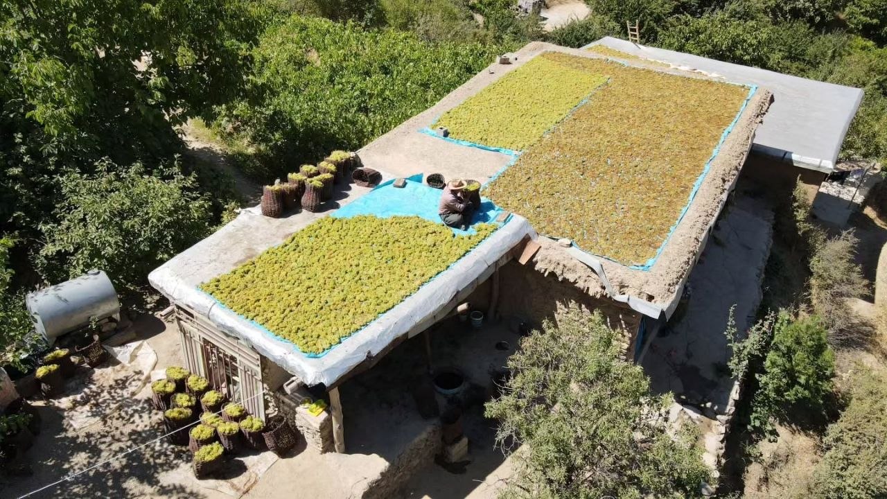 آیین بولاو‌گیری در روستای دولاب شهر سنندج - عکس ۲