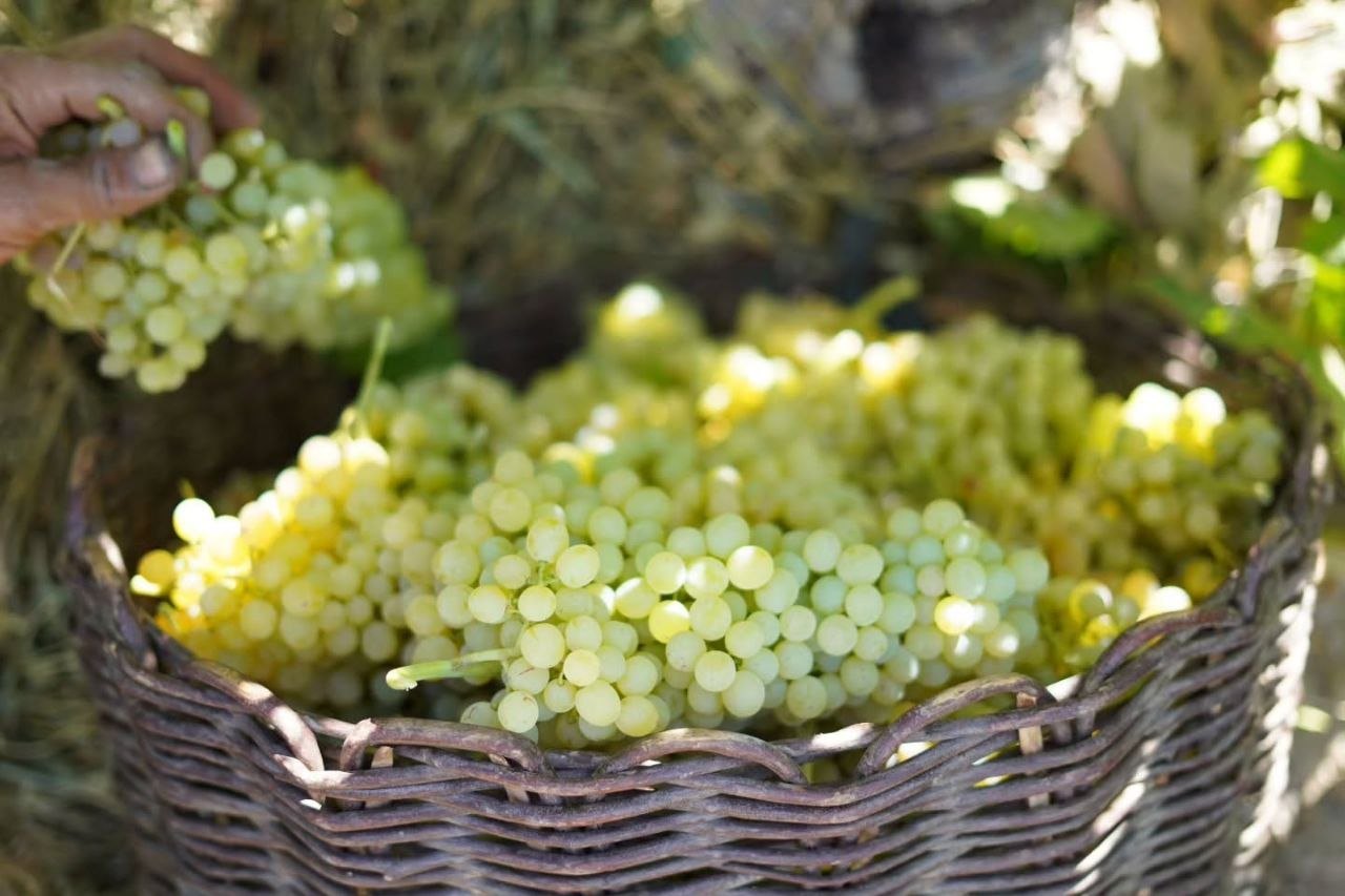 آیین بولاو‌گیری در روستای دولاب شهر سنندج - عکس ۱