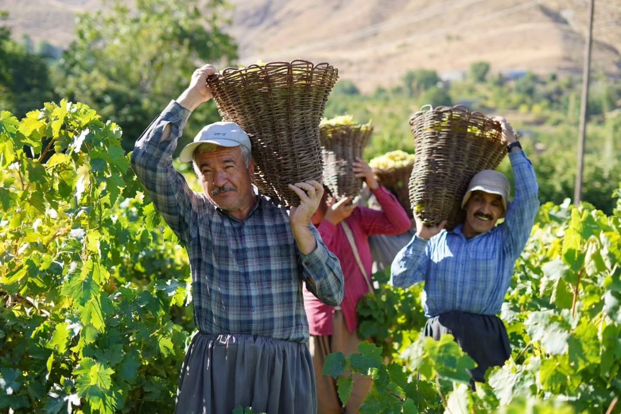 آیین بولاو‌گیری در روستای دولاب شهر سنندج - عکس ۷