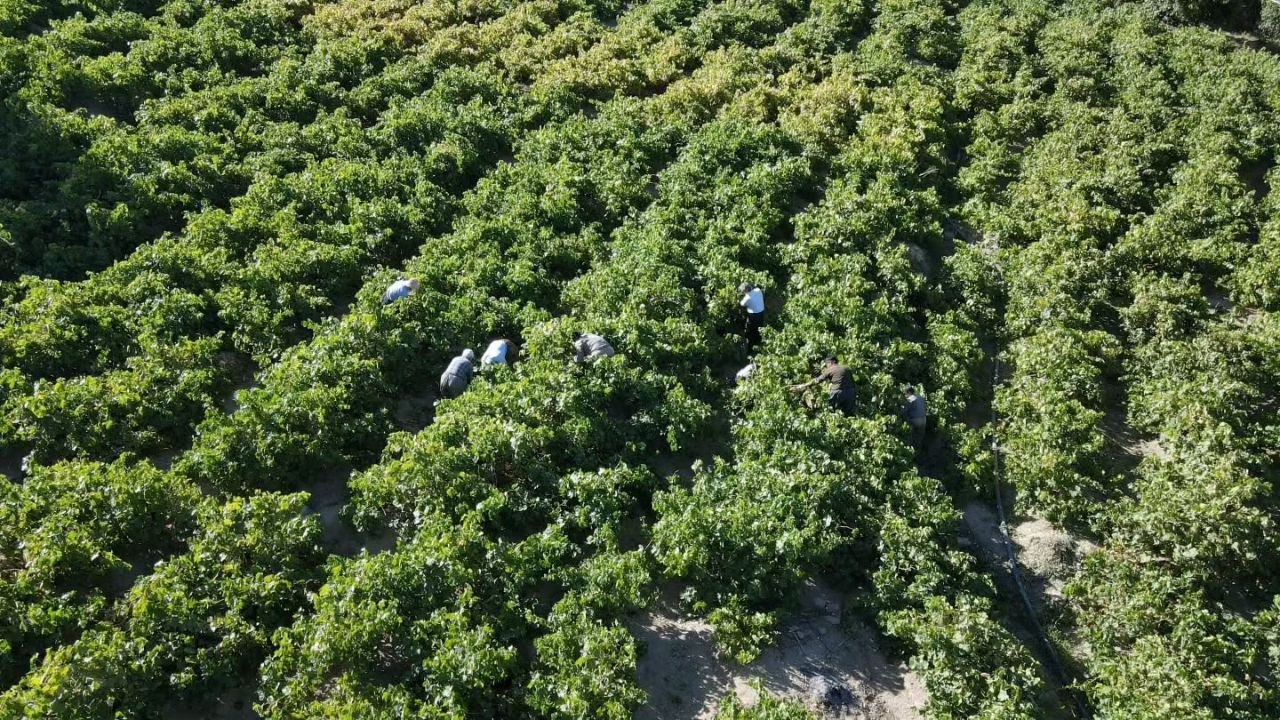 آیین بولاو‌گیری در روستای دولاب شهر سنندج - عکس ۶
