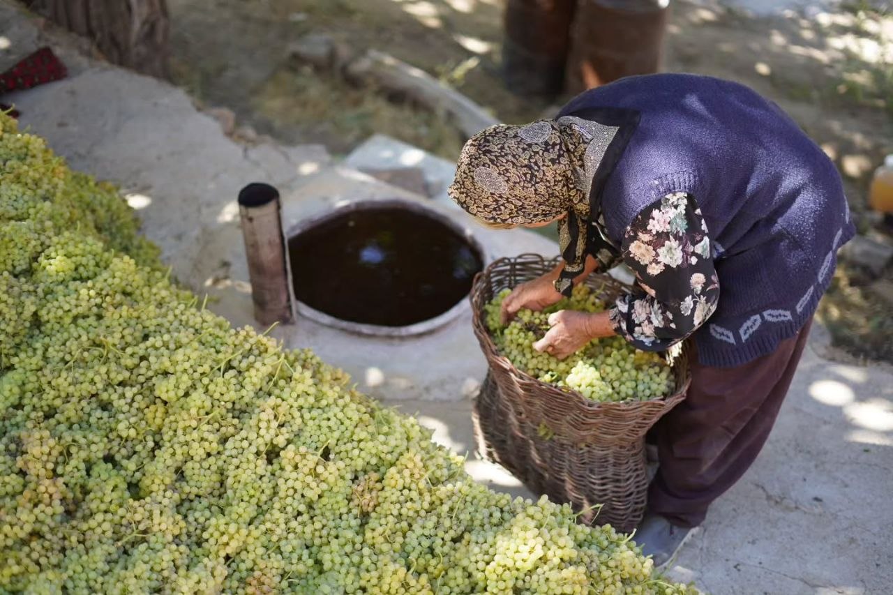 آیین بولاو‌گیری در روستای دولاب شهر سنندج - عکس ۳