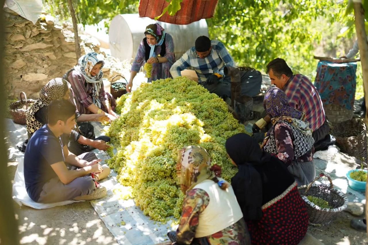 آیین بولاو‌گیری در روستای دولاب شهر سنندج - عکس ۹